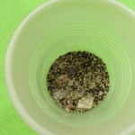 Image of container with soil and rocks and minerals